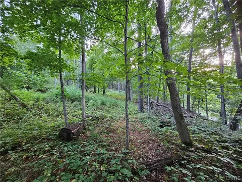 Old State Rd, Denmark, NY 13619 photo 29