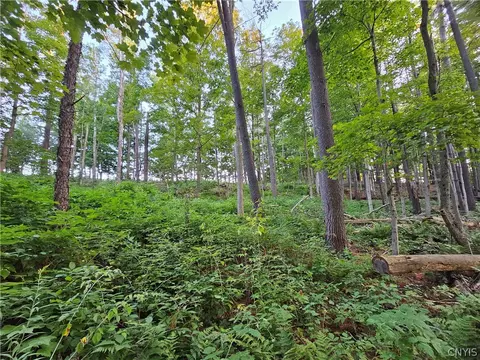 Old State Rd, Denmark, NY 13619 photo 30