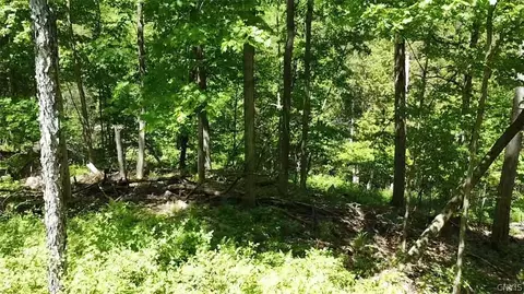 Old State Rd, Denmark, NY 13619 photo 16