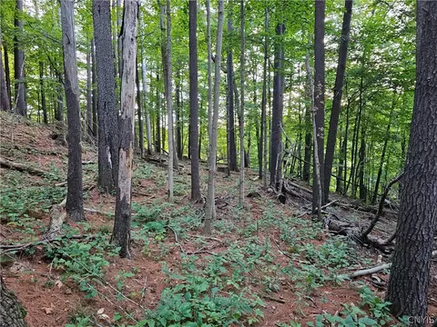 Old State Rd, Denmark, NY 13619 photo 33