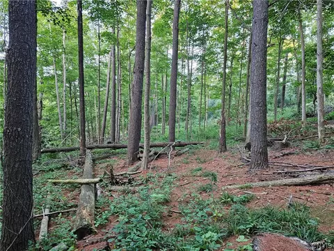 Old State Rd, Denmark, NY 13619 photo 25
