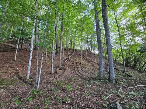 Old State Rd, Denmark, NY 13619 photo 24