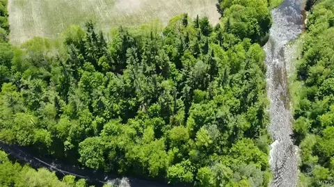 Old State Rd, Denmark, NY 13619 photo 9