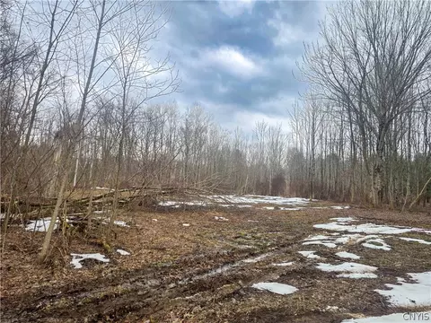 0 Mill Rd, Vienna, NY 13042 photo 3