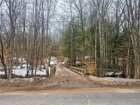 0 Mill Rd, Vienna, NY 13042 photo 12