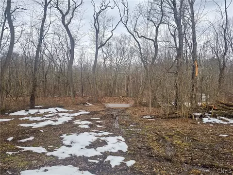 0 Mill Rd, Vienna, NY 13042 photo 10