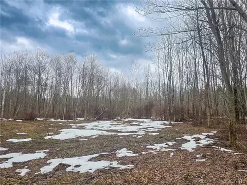 0 Mill Rd, Vienna, NY 13042 photo 4