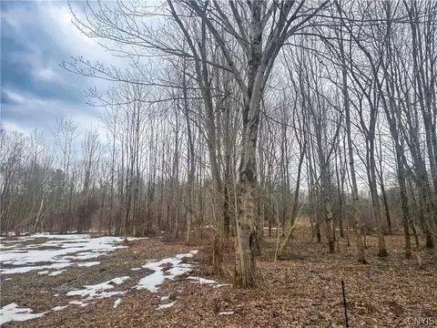 0 Mill Rd, Vienna, NY 13042 photo 8