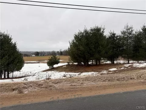 lot1 Lyons Falls Rd, Greig, NY 13368