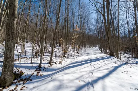 Nys Route 414, Catlin, NY 14902