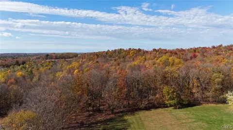 Davidson Road, Lee, NY 13440