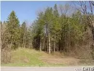 0 Nelson Rd, Lenox, NY 13032