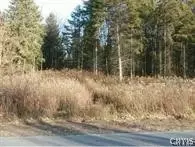 0 Nelson Rd, Lenox, NY 13032 photo 4