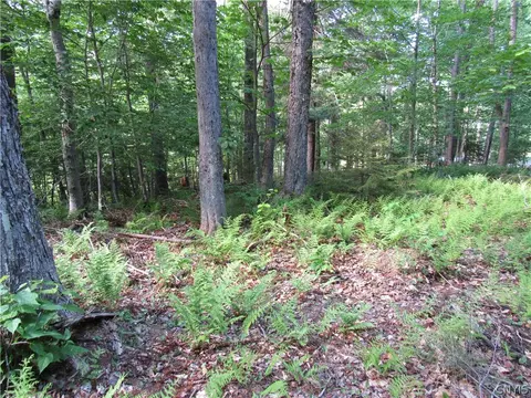 Undisclosed, Webb, NY 13420 photo 7