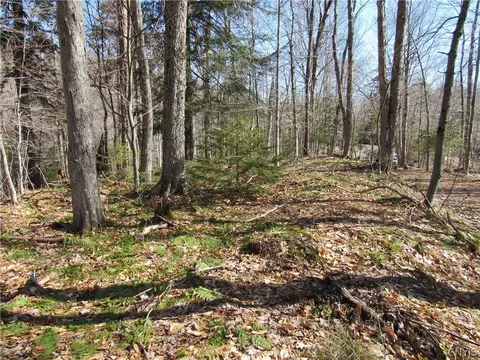Undisclosed, Webb, NY 13420
