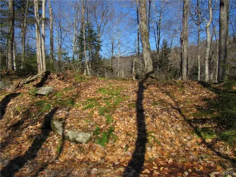Undisclosed, Webb, NY 13420 photo 3