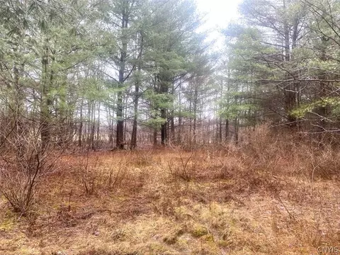 10138 Schuknecht Rd, Hume, NY 14735