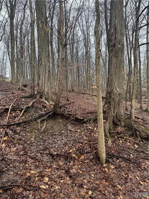 Nob Road, Utica, NY 13501