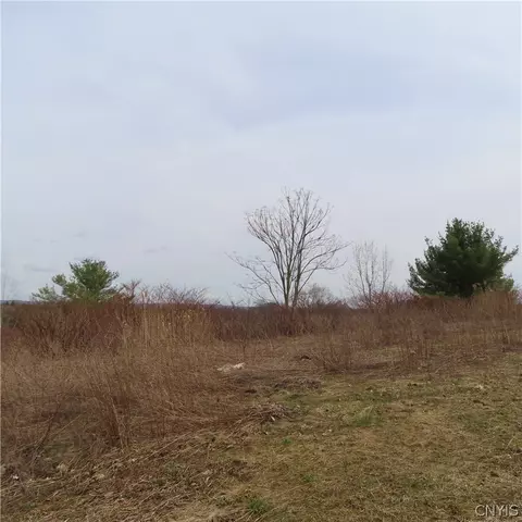 5062 Bergenfield Way, Dewitt, NY 13066
