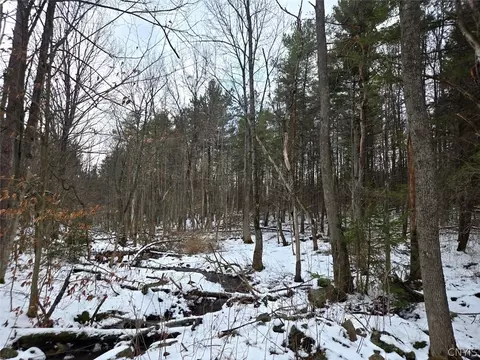 Syler Road, Orangeville, NY 14569
