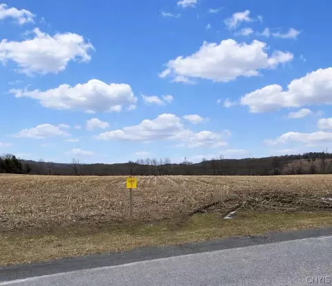 00 Skinner Lot 3 Rd, Richfield, NY 13439