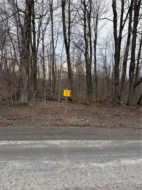 00 Skinner Lot 4 Rd, Richfield, NY 13439