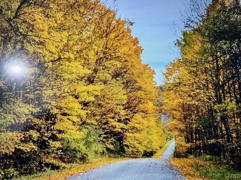 Talbot Road, Plainfield, NY 13491 photo 8