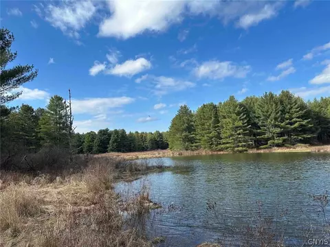 219 Martin Hill Rd, Colesville, NY 13787