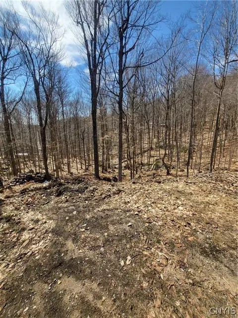 115 Mohawk Dr, Webb, NY 13420 photo 3