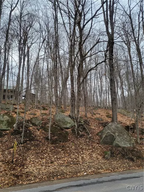 Hollywood Road, Webb, NY 13420