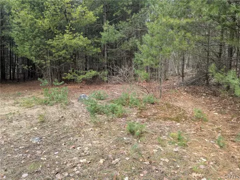 7131 Maple Dr, Watson, NY 13343