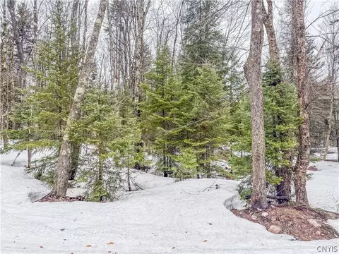 1715 Olin Rd, Montague, NY 13367