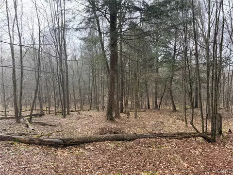 Solitude Forest Drive, German, NY 13136