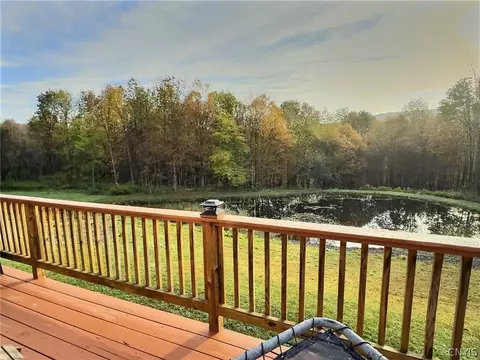 Other - 4543 Potter Rd, Solon, NY 13101 photo 6 of 19
