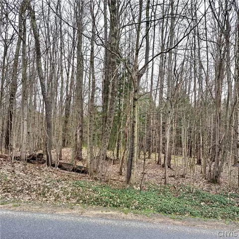 Steam Mill Road, Camden, NY 13316