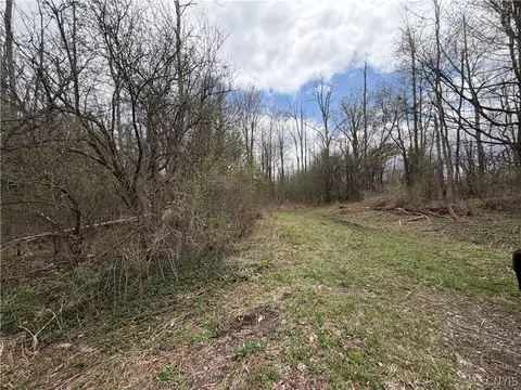 Peck Hill Road, Manlius, NY 13104