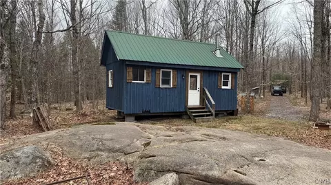 8420 Power Line Dr, Diana, NY 13648