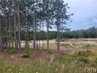 2321 Nys Route 3, Fine, NY 13639