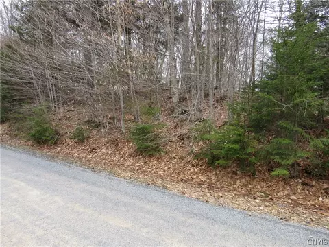 Palisades Road, Webb, NY 13420