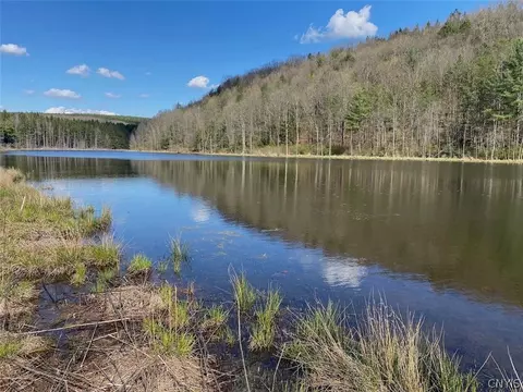 Reddy Road, Amity, NY 14813