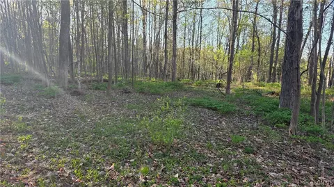 2361 State Route 28, German Flatts, NY 13407 photo 29