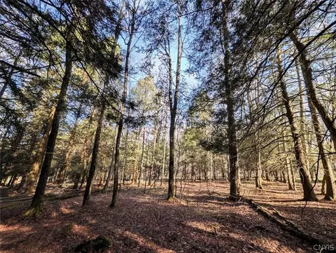 2788 Williamson Rd, Greenwood, NY 14839