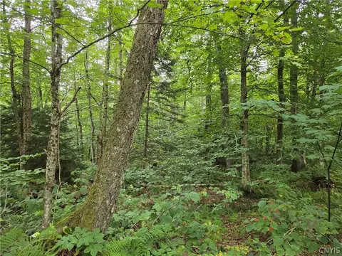 000 William Ernst Rd, Lewis, NY 12950