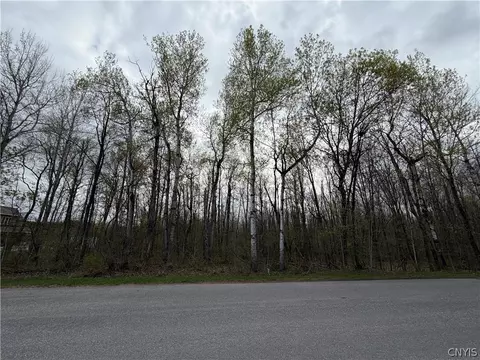 0 Farney Pit Rd, Champion, NY 13619