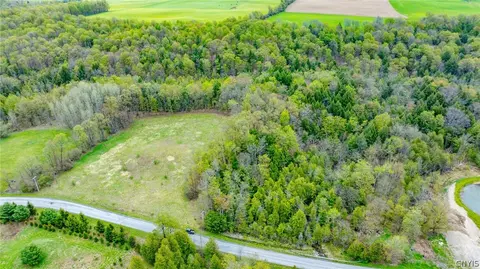 Shephard Road, Fenner, NY 13035