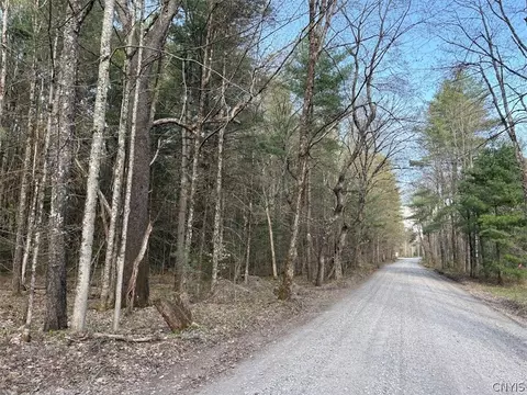 Stormy Hill Road, Russia, NY 13324
