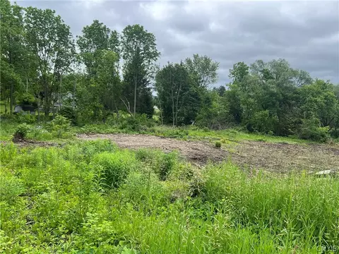 Franklin Street, Homer, NY 13077