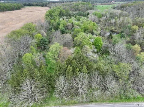 Youngs Road, Leon, NY 14726 photo 8