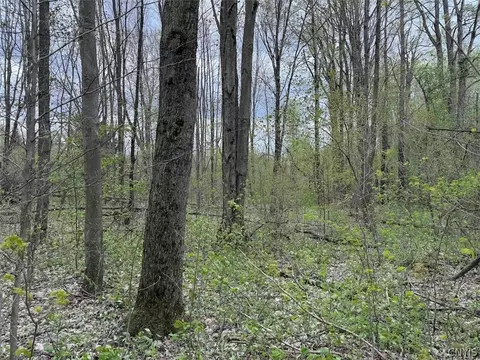 Youngs Road, Leon, NY 14726 photo 31