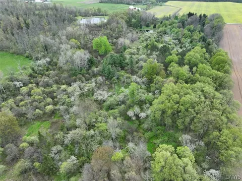 Youngs Road, Leon, NY 14726 photo 5